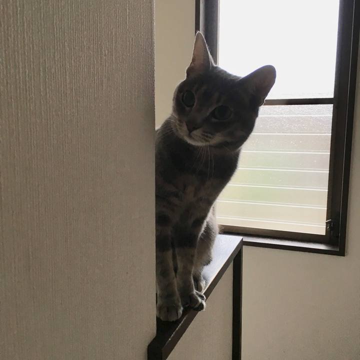 5885ddfb 509a 41d4 befa 0a31f305e8ff 1525259479763