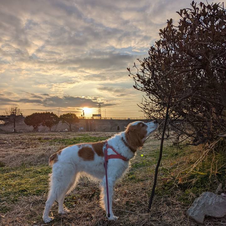 5885e801 cb30 4de6 a34c 1f4d490a4728 1644837630037