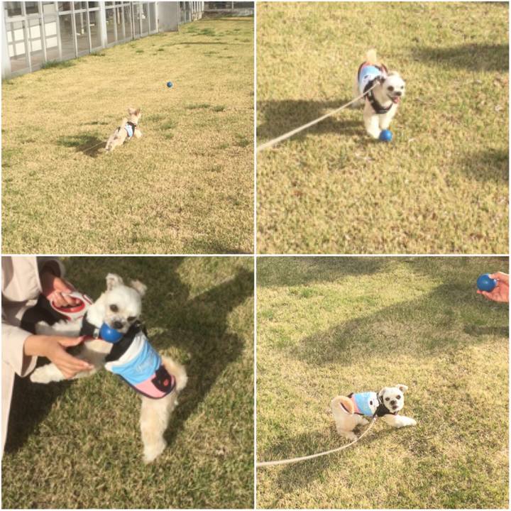 58861d07 083c 4661 84e7 95b0942c0777 1556694282198