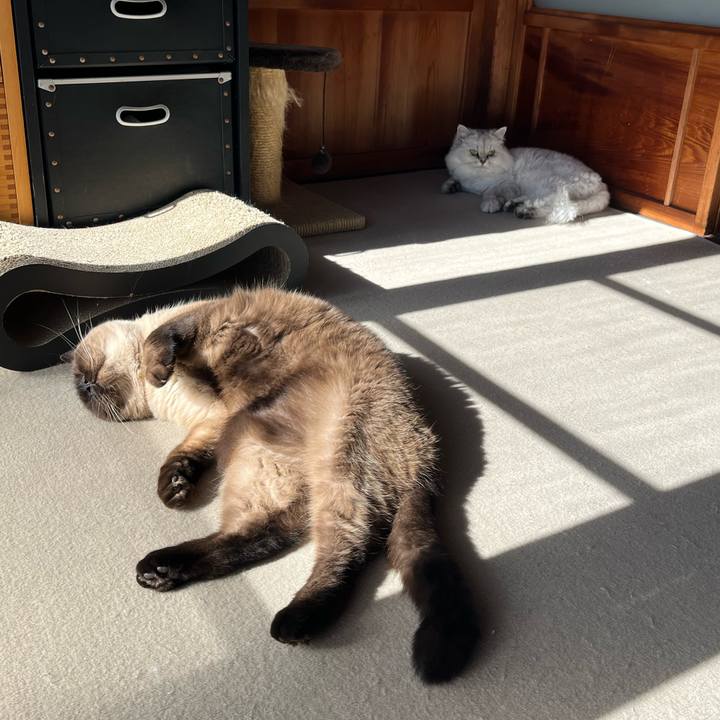 5886465d f488 4ac4 a458 f9c1ac9e49f6 1667708666411