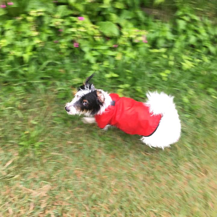 58864824 3a66 4de6 a7d3 52a8df502083 1508363949327