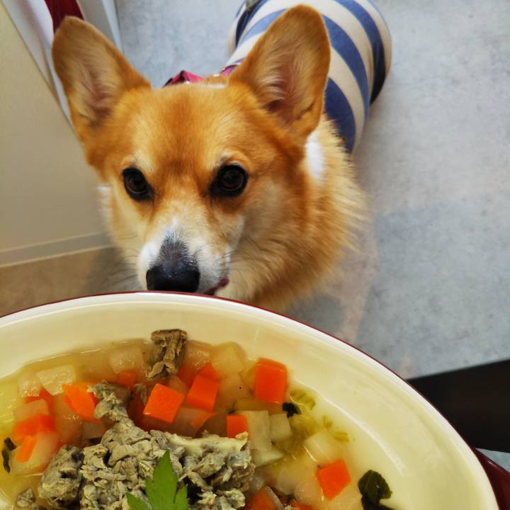 588649af d36e 49c3 9d5e 38dc8fa5d52e 1604158041386