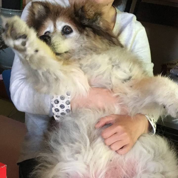 588666ad d585 48a0 b955 19318d4330ac 1593658704852