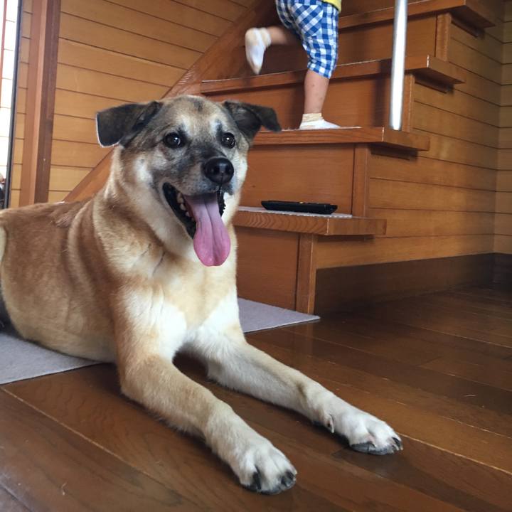 58866bfb 962a 4ddd 8546 395602a76bfb 1535079540788