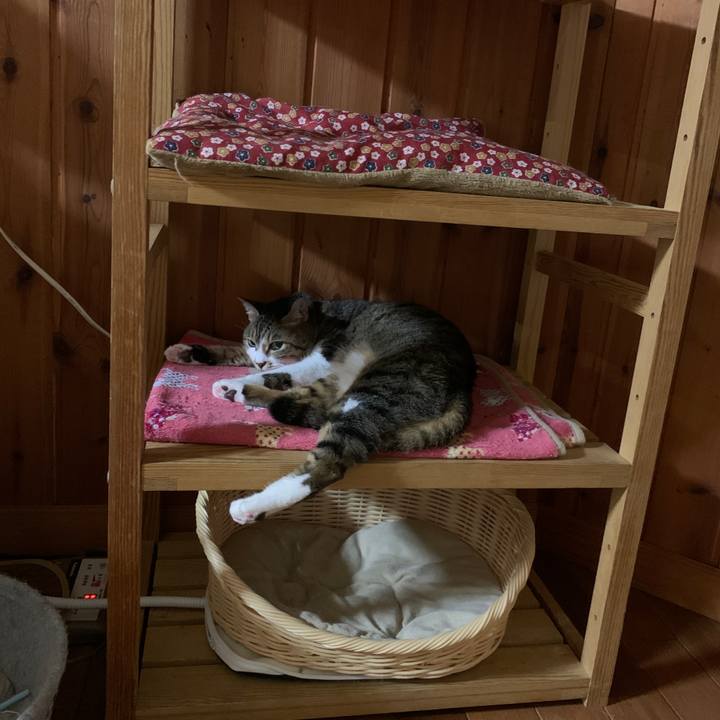 58867095 1769 436a a6b1 d7744a30f5c9 1652967174860