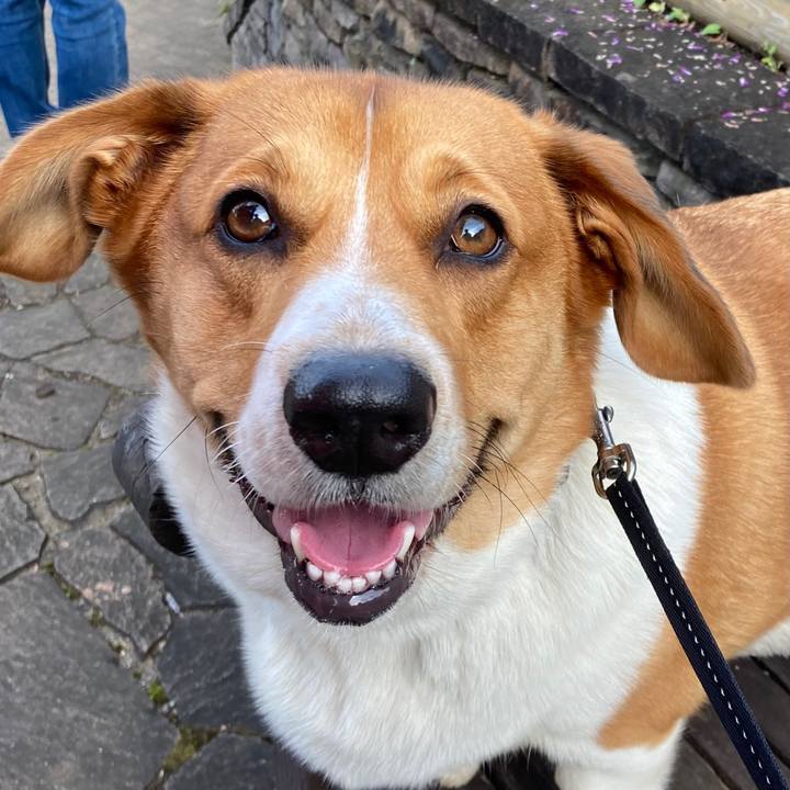 58867392 1e3a 4d02 946c 313ec0bead89 1667347600506