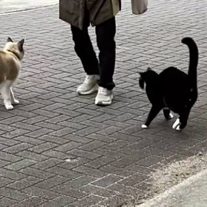 5886a2a5 c857 4022 b268 643cb924a8cc 1735963048253