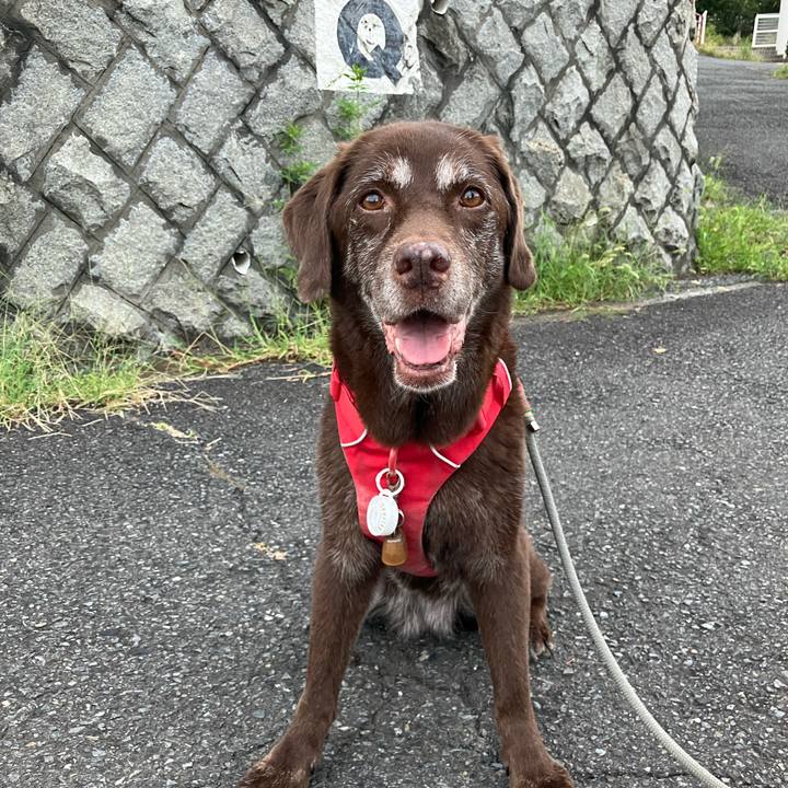 5886a360 0c8c 4ea7 843e ec2bceefc078 1758006240639