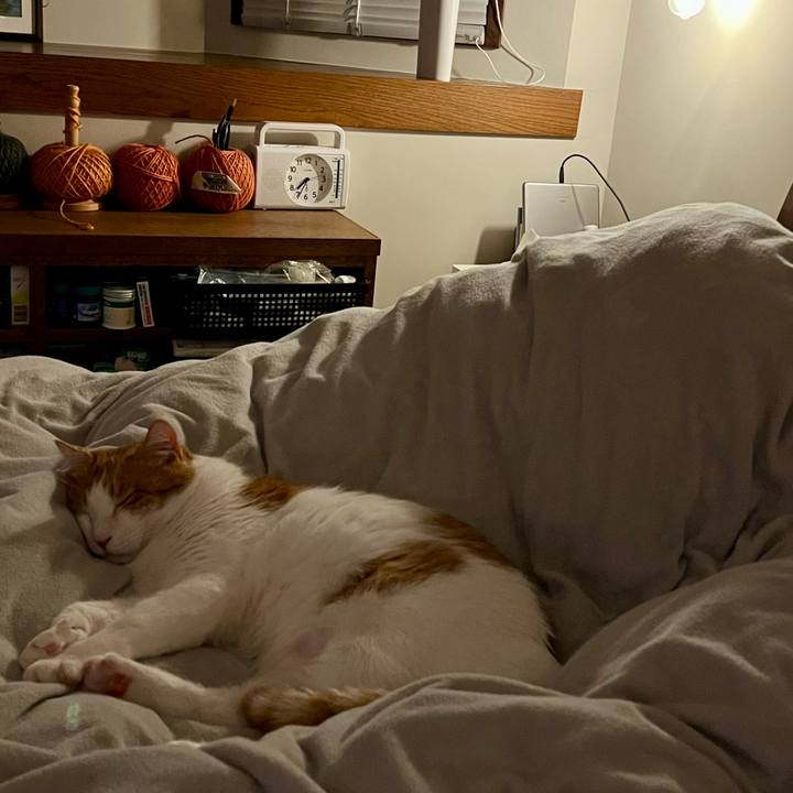 5886c214 59b1 40a2 84e0 0e9ff0e9be29 1768645934191