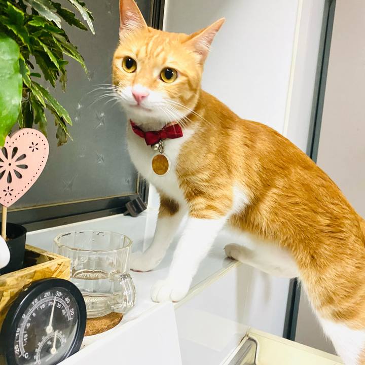 5886ce7d fa28 40be 9f7a 189a25c8a518 1685398479581