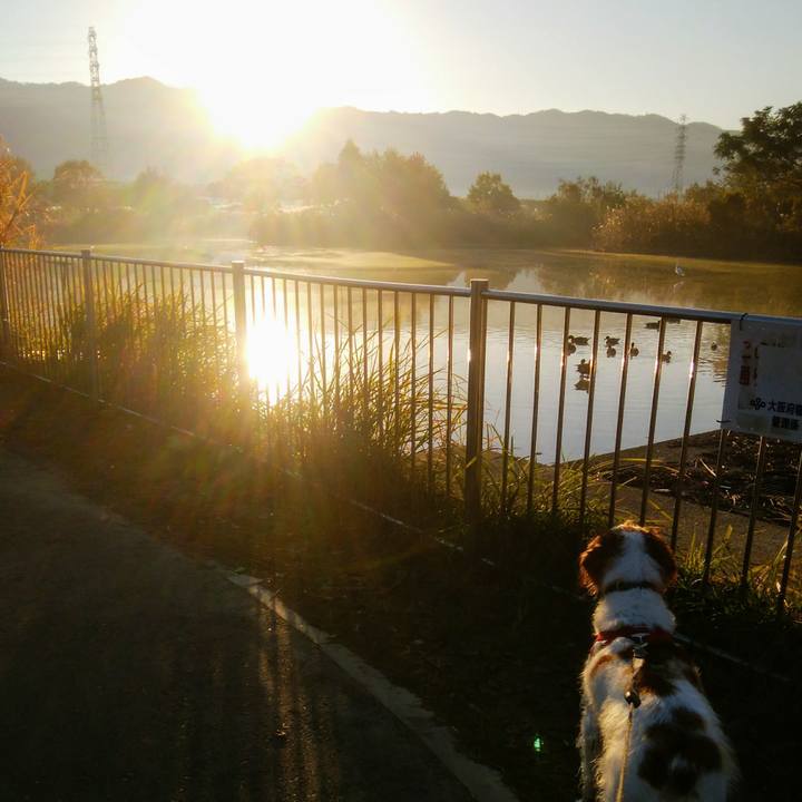 5886d16d baec 42ed bf96 4724ba2f96ee 1543104139423