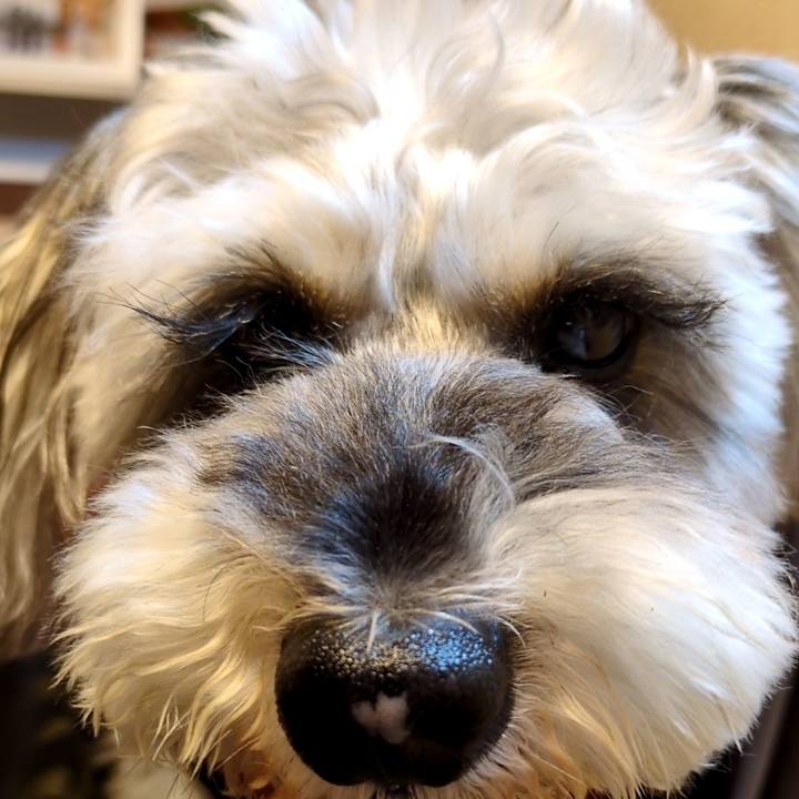 58872363 1ef3 4b1d bbe0 23cbea412935 1752887819121