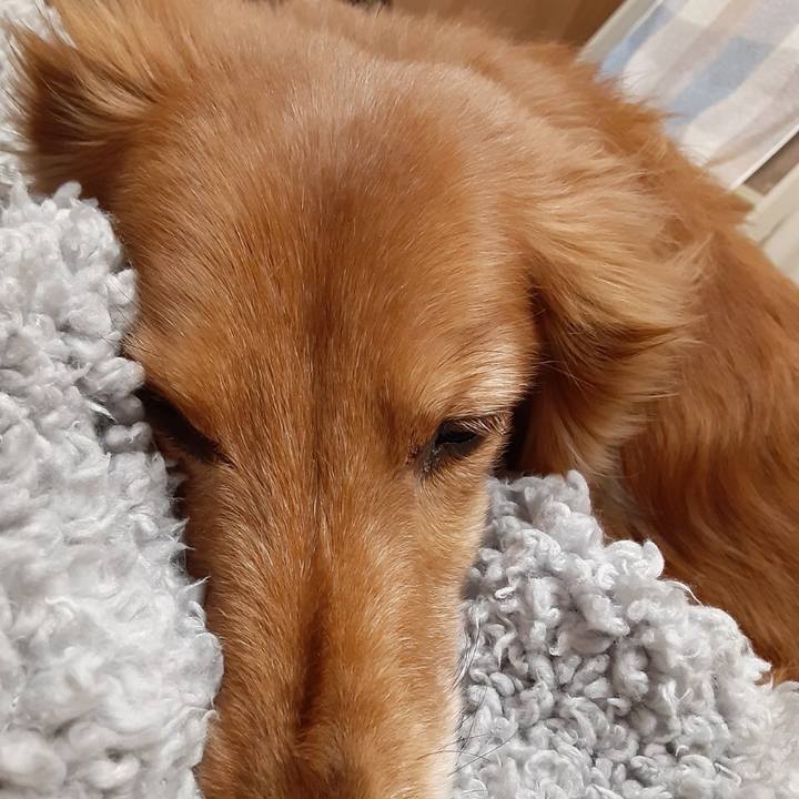 58872685 08db 4c0d afac 3597703332bf 1615985662747