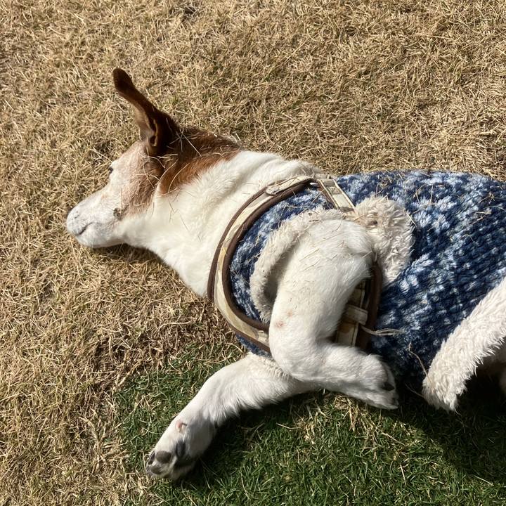 58875f61 0bd6 4e96 a9b6 e376c1ac947d 1771113523804