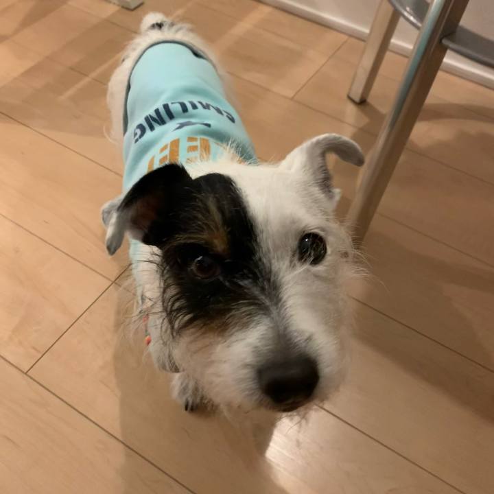 58877cd9 e11b 4de6 a4cb 6979bcd06040 1642932694110