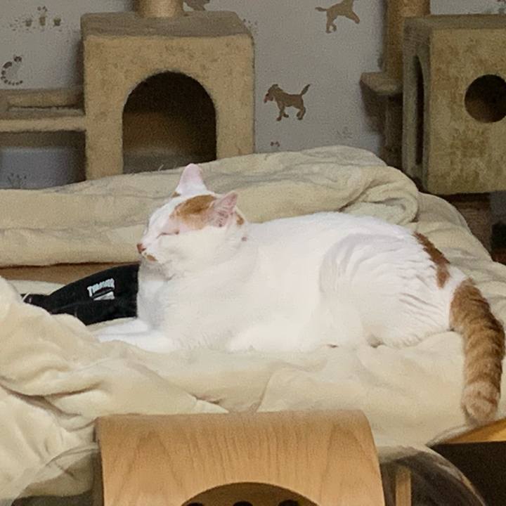 58878331 1970 4ed5 b533 f658714d461b 1592226830193