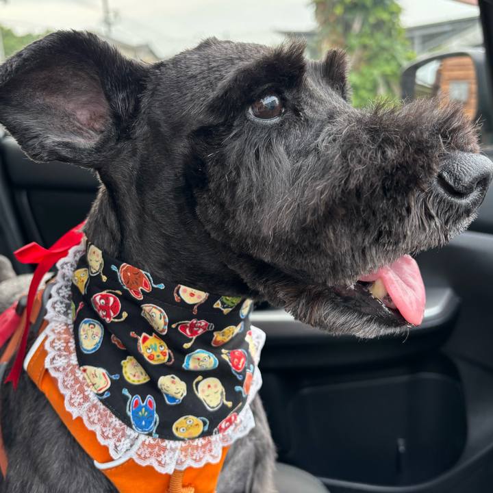 58879bc1 5423 4984 8223 686b0d71fb22 1749279408890