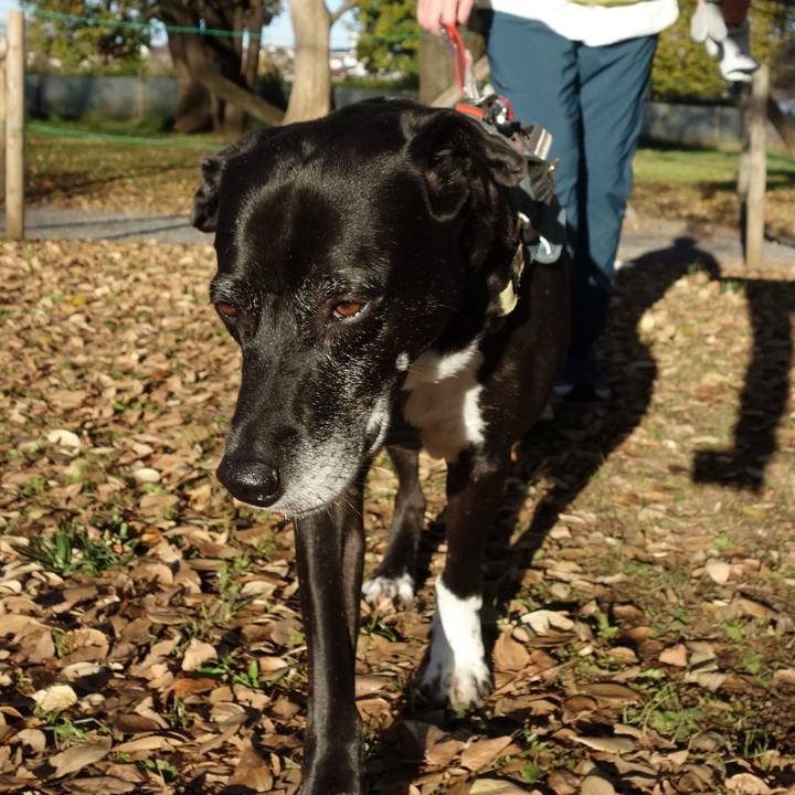 5887d1dd 1ecb 43c0 b07f 478cd87d1615 1732842109030