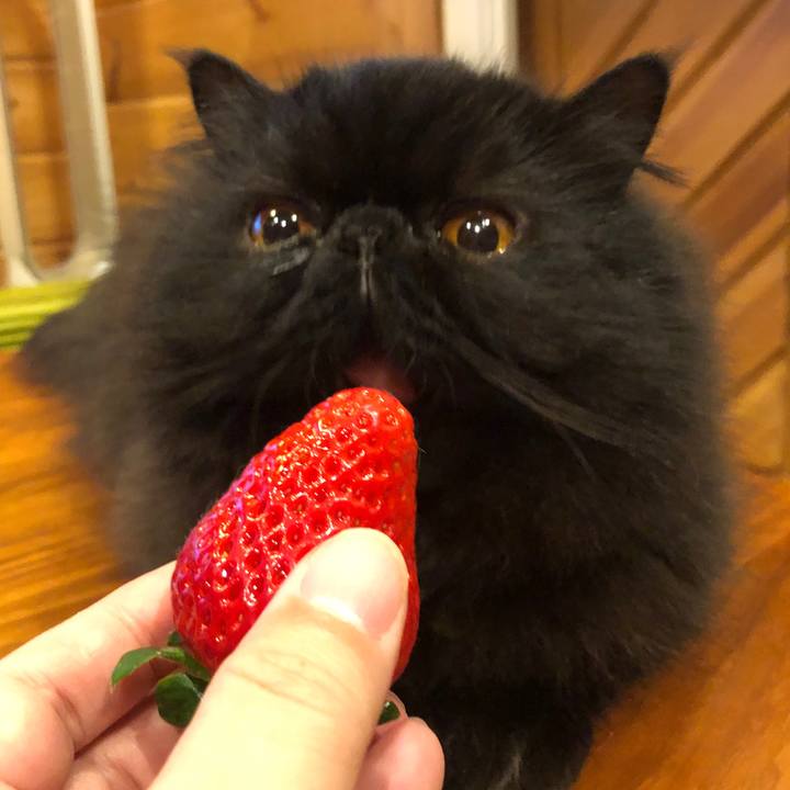 5887eb53 7290 430b 890e 47c97912a59d 1580130142414