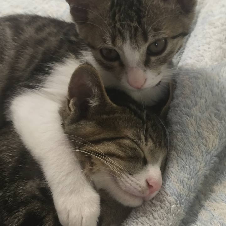 588807d6 2784 4bb6 bf4a 74e17c522da3 1654036901307