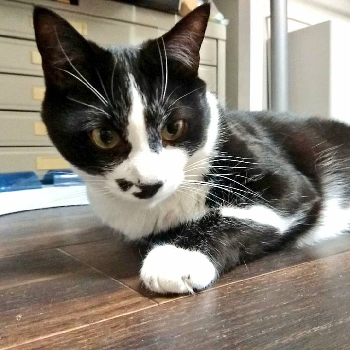 588827ac cde6 4ddc acce 6026a9f7cb06 1526908161349