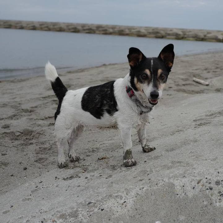 588851a2 534c 431b 818e 1c1e48f91cd2 1632819461685