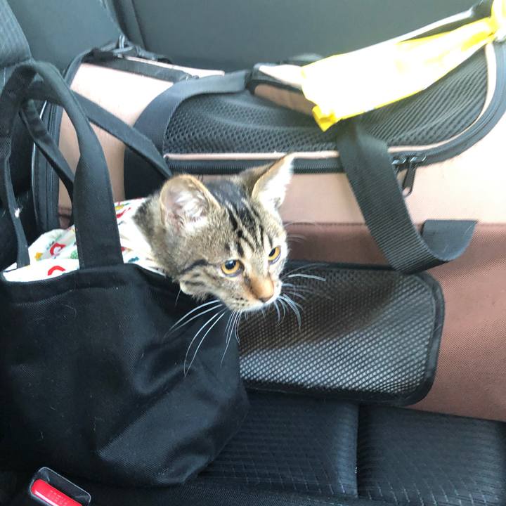 588867be 8236 484b a095 47a1b9cd74bb 1731136575439