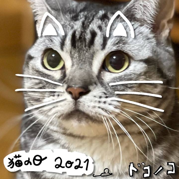 5888834a 47bd 4973 8b2b 2bdf63debffe 1613970917131