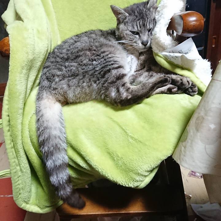 5888878a 88a6 474b 9e4d 7dd62b021e91 1589148073250