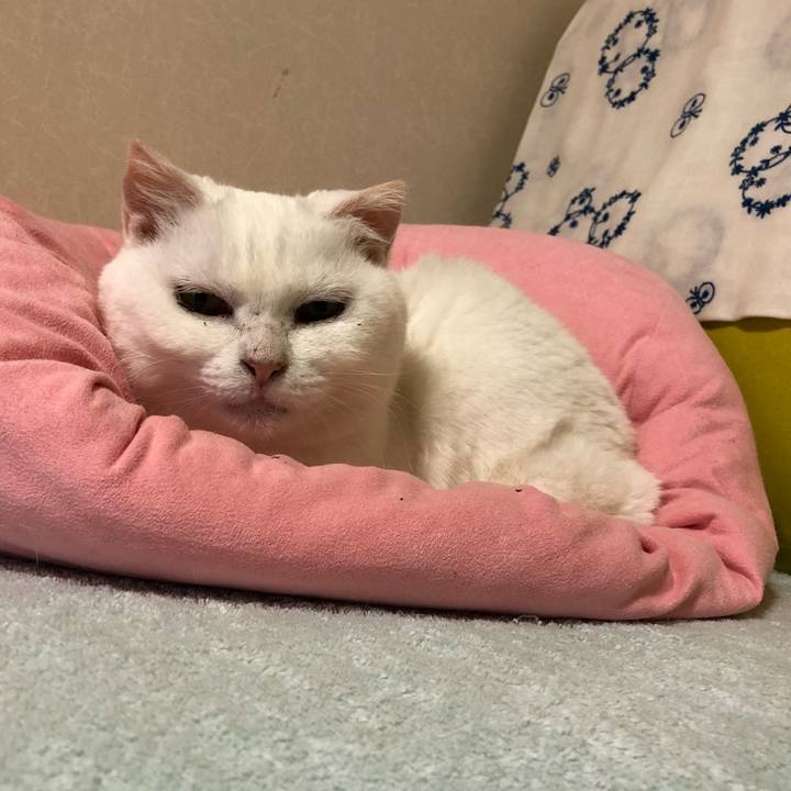 5888b752 c5b4 416f b543 9c301441db1b 1529290446140