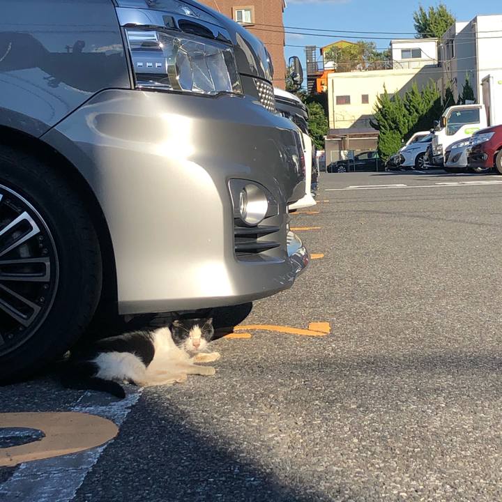 5888c37f 12f3 4ce2 bbf3 8a5a33a77f9f 1638014445102