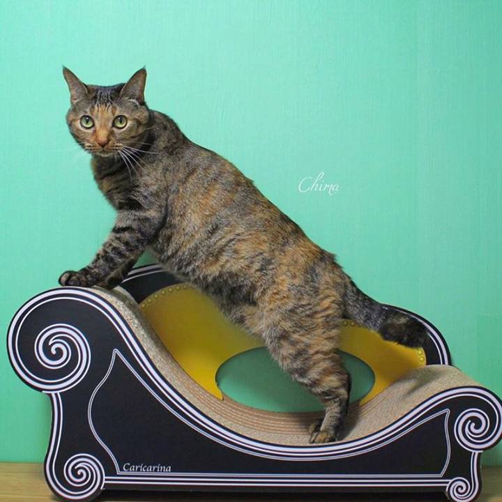 5888d5d3 be12 4030 afaa 23784472a899 1559687234110