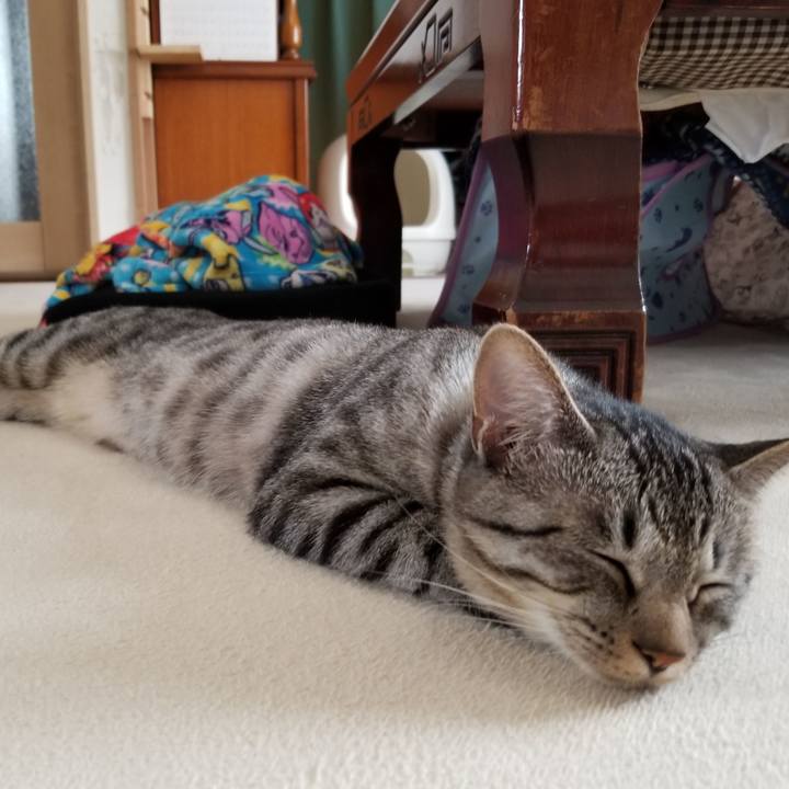 588919e9 82a8 4351 ae65 2da6a5ce8590 1679618431145