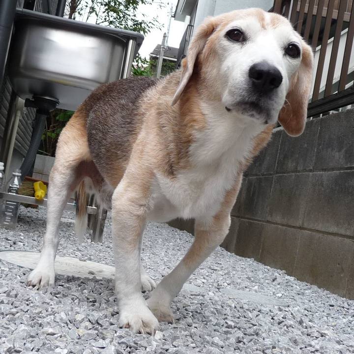 58894ee7 5bb4 48f5 91e2 8f71a4b31537 1697157592679