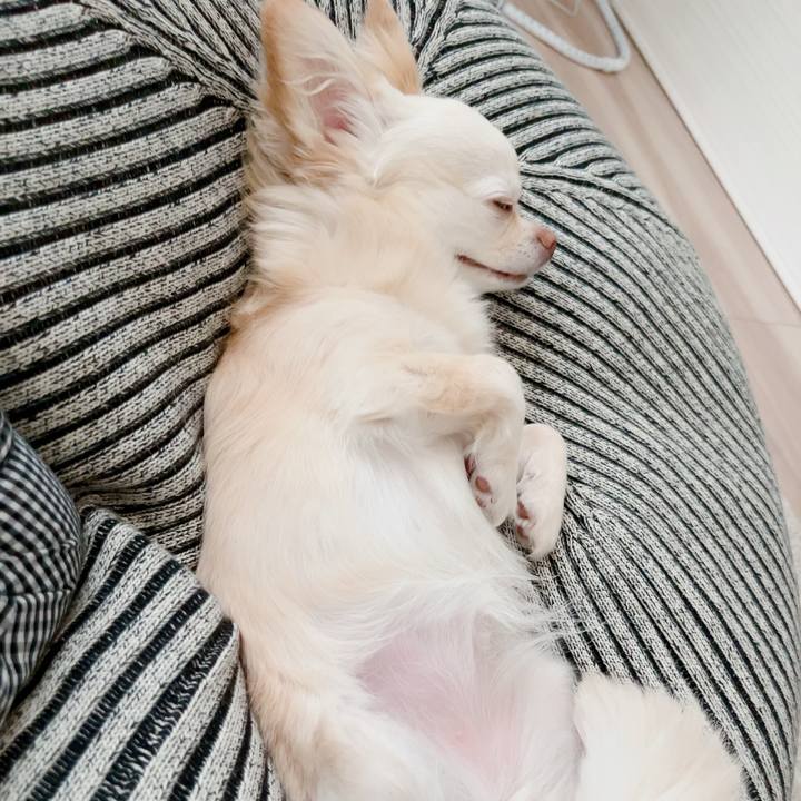 588959a7 a0f0 4ea2 ae22 ea3855dbba84 1717399388544