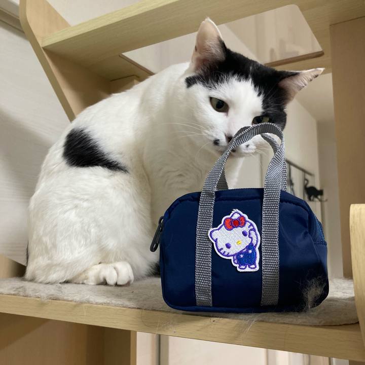 58898e5f e030 42f2 ad3f f1cf1cbfc4d1 1773319082802