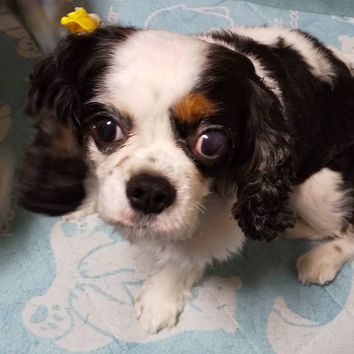 588996df dd3c 438b b419 3a30f7dd8e6d 1599564304851