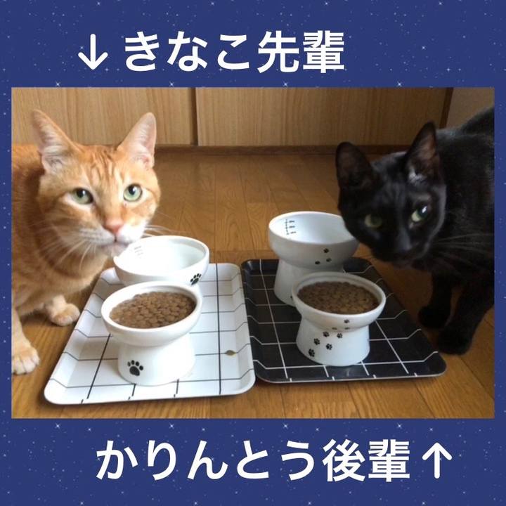 5889ac84 1729 4f3c 94ed 5d005bb7e836 1723844273662