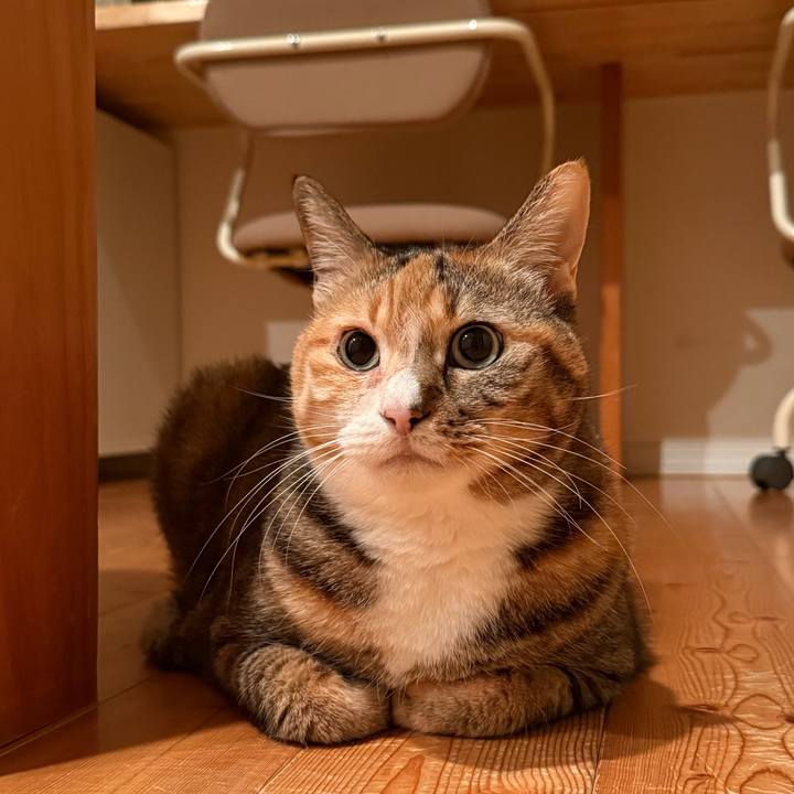 5889bc01 8698 4f2e 9971 4d99101d12a5 1768991293587