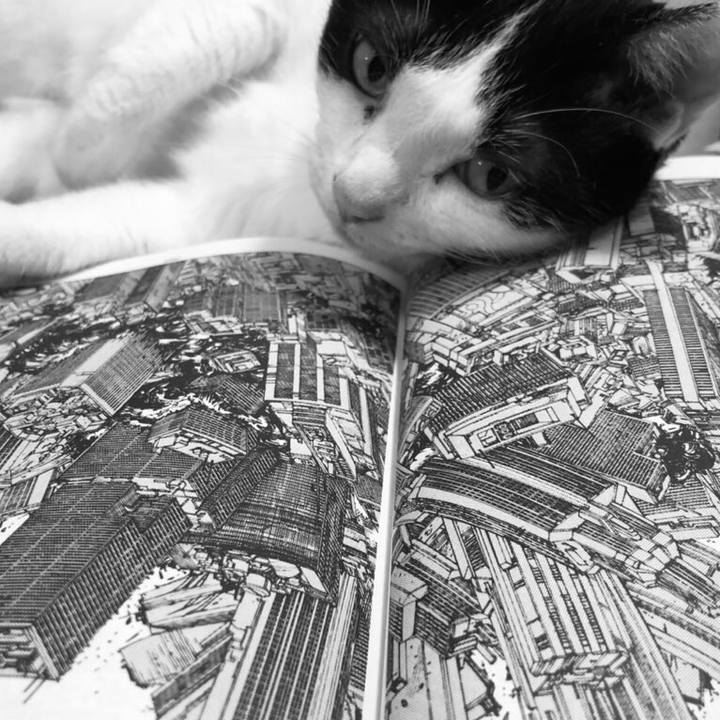 5889bc31 5620 4fbe 95be a32bef7d03de 1594643895585