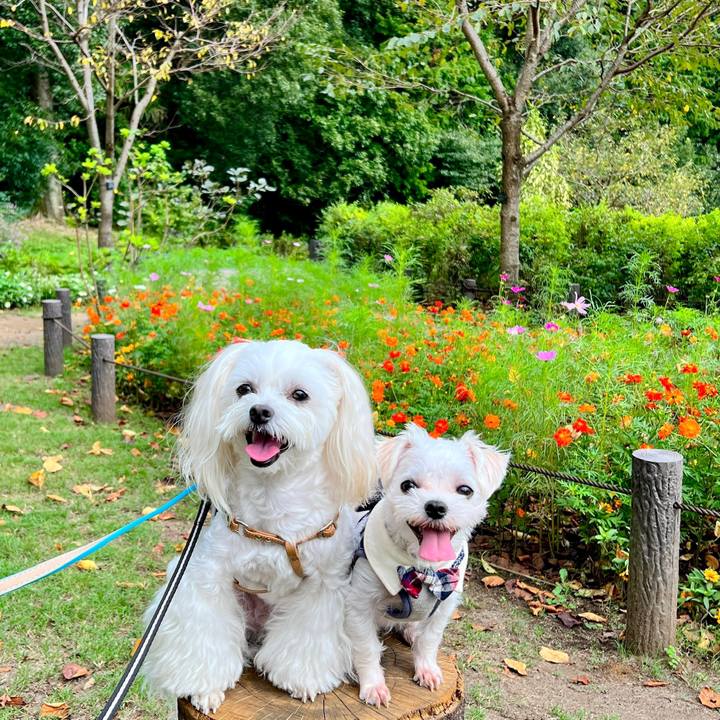 5889cc0c 5bf6 4a8d 9201 4eb7004bed61 1695713772419