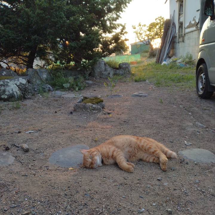 588a0d51 b579 484c 98ee afa6adc00813 1693733542141