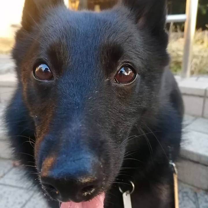 588a1dcd 72b8 4394 85c6 59fbebf71ed9 1633900505861