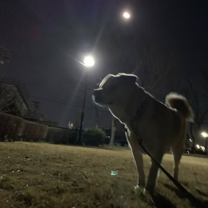 588a330c 2192 4f10 933f 8edf5981c3fc 1550486539778