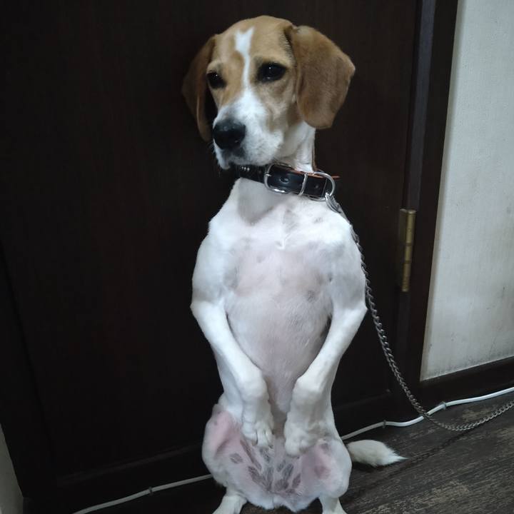 588a3972 b9a2 4c0a 9fde ab4d45808766 1626778160066