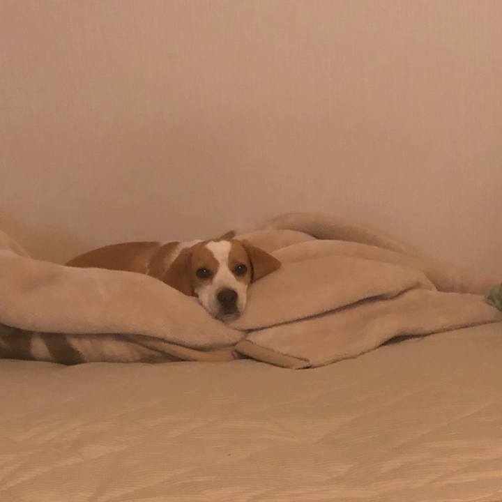 588aa88e 28ba 4ed3 a563 3ae6183df1e2 1567807118906