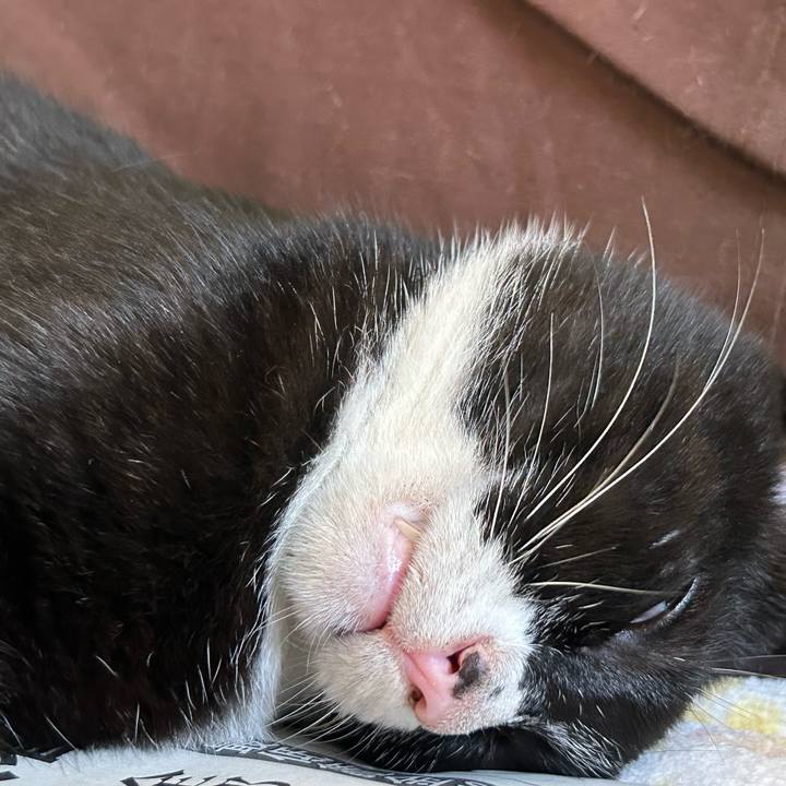 588ad300 ddad 4a05 bb61 b206d7fbd7ea 1754893241270