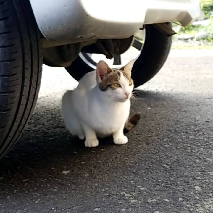 588aefc3 7a6e 46cd bc71 d4368d051362 1568681937327