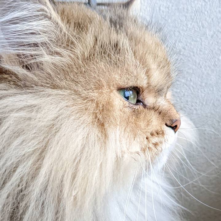 588af460 c222 4738 af4d 96cb763d3c80 1670755321741