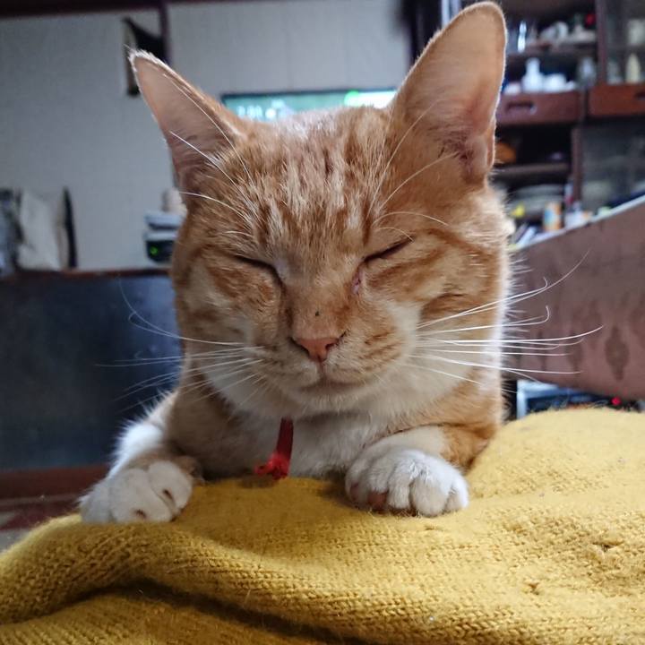 588aff93 41b8 4d35 9ce8 18e99e5146bb 1572997929481